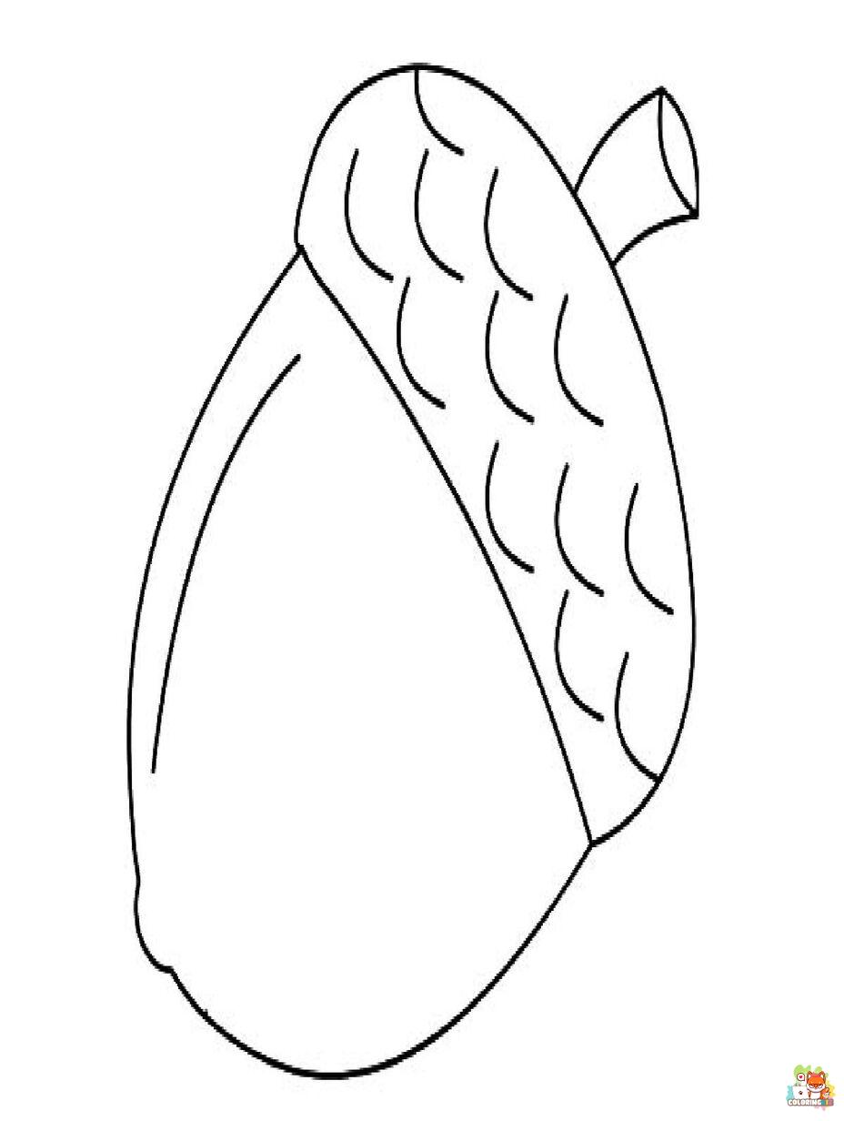 acorn coloring pages printable