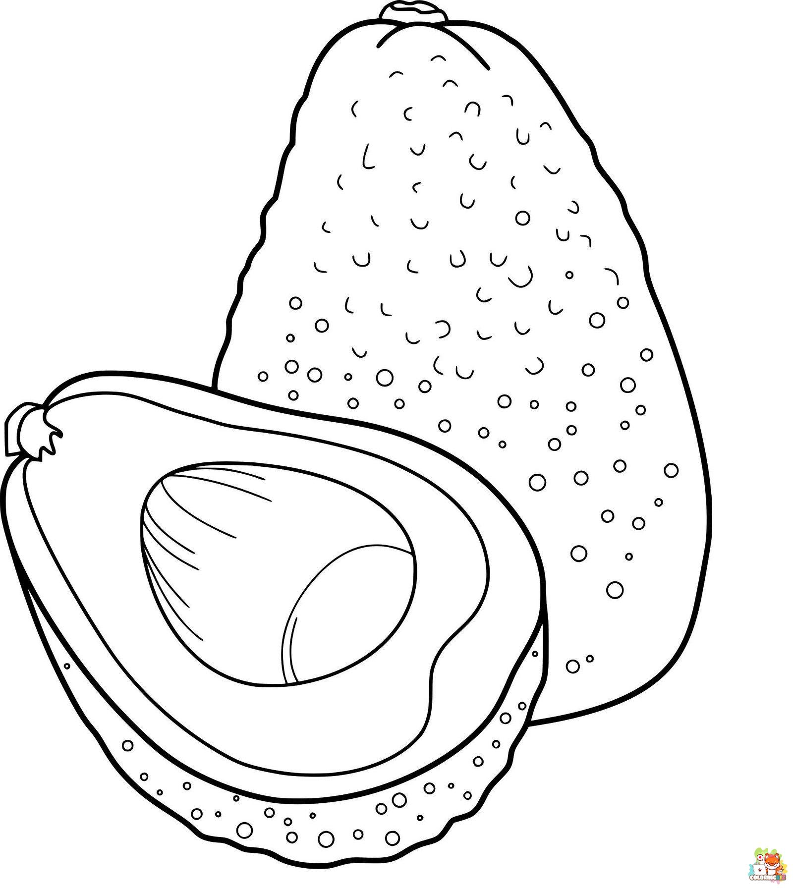 avocado coloring pages printable