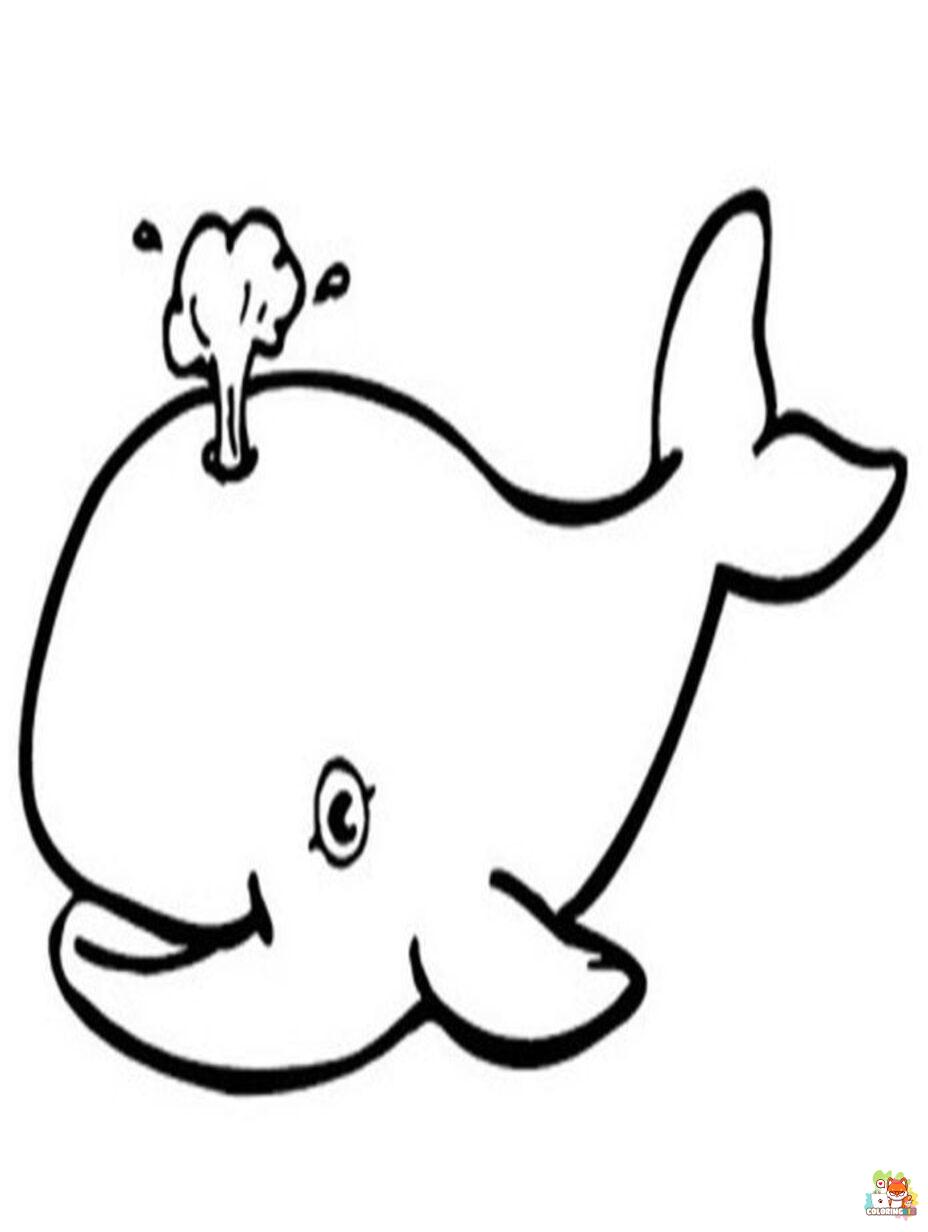 blue whale coloring pages printable free