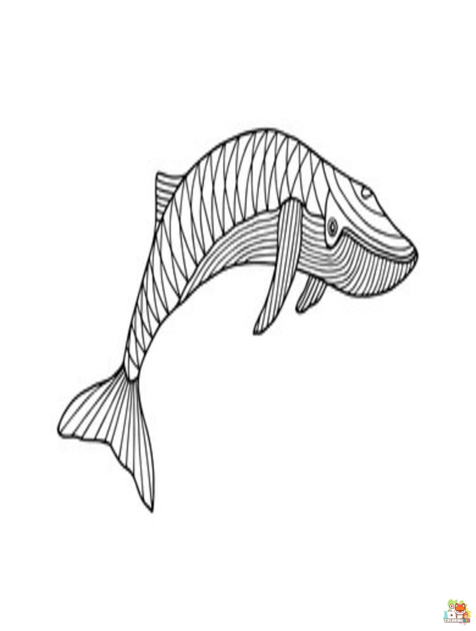 blue whale coloring pages to print