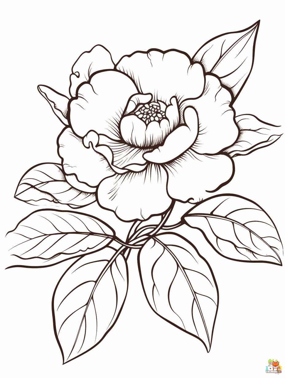 camellia coloring pages 1