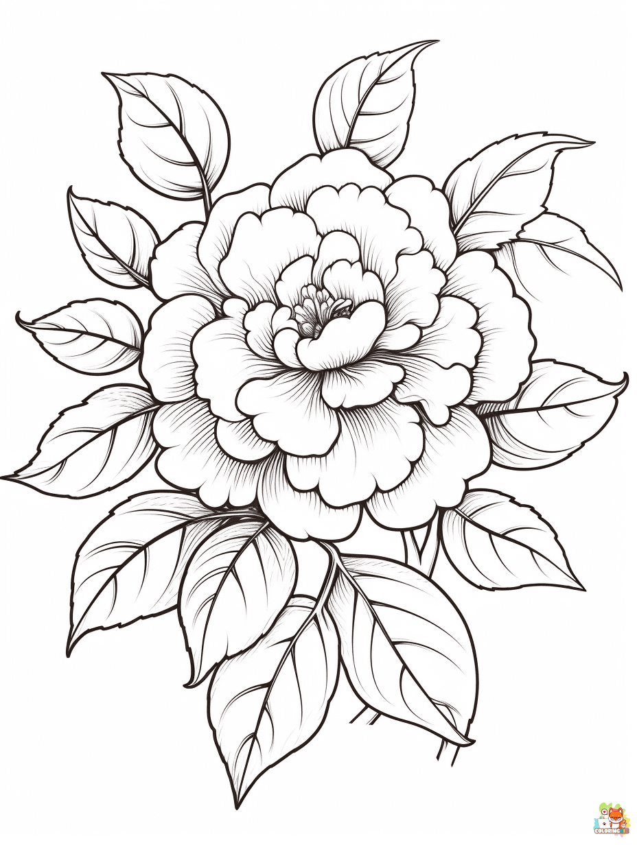 camellia coloring pages 3
