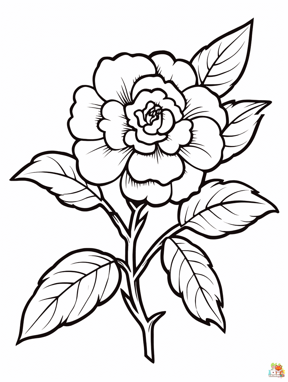 camellia coloring pages printable free