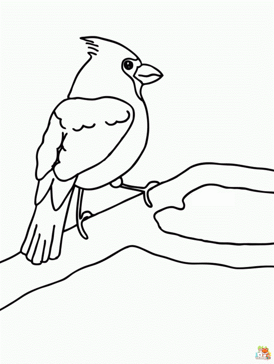 cardinal coloring pages 1