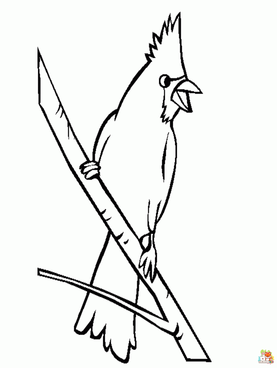 cardinal coloring pages 2