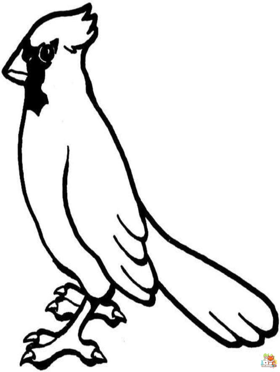 cardinal coloring pages 4