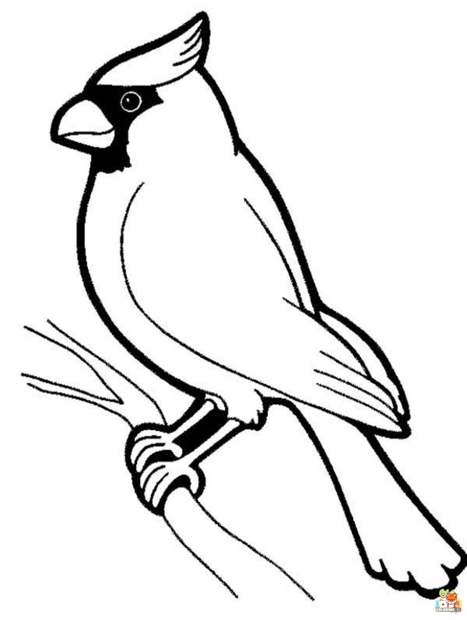 cardinal coloring pages free
