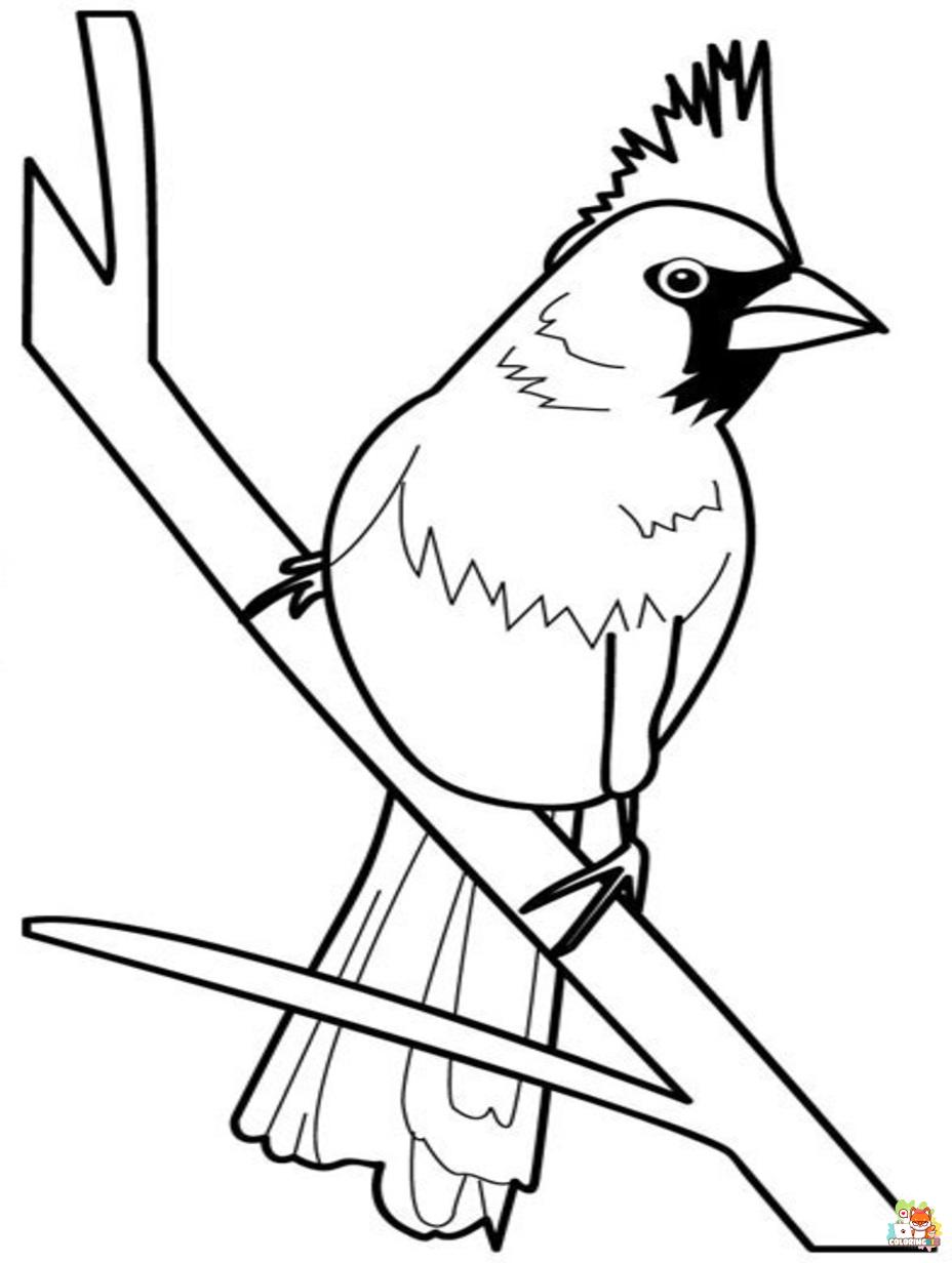cardinal coloring pages printable free