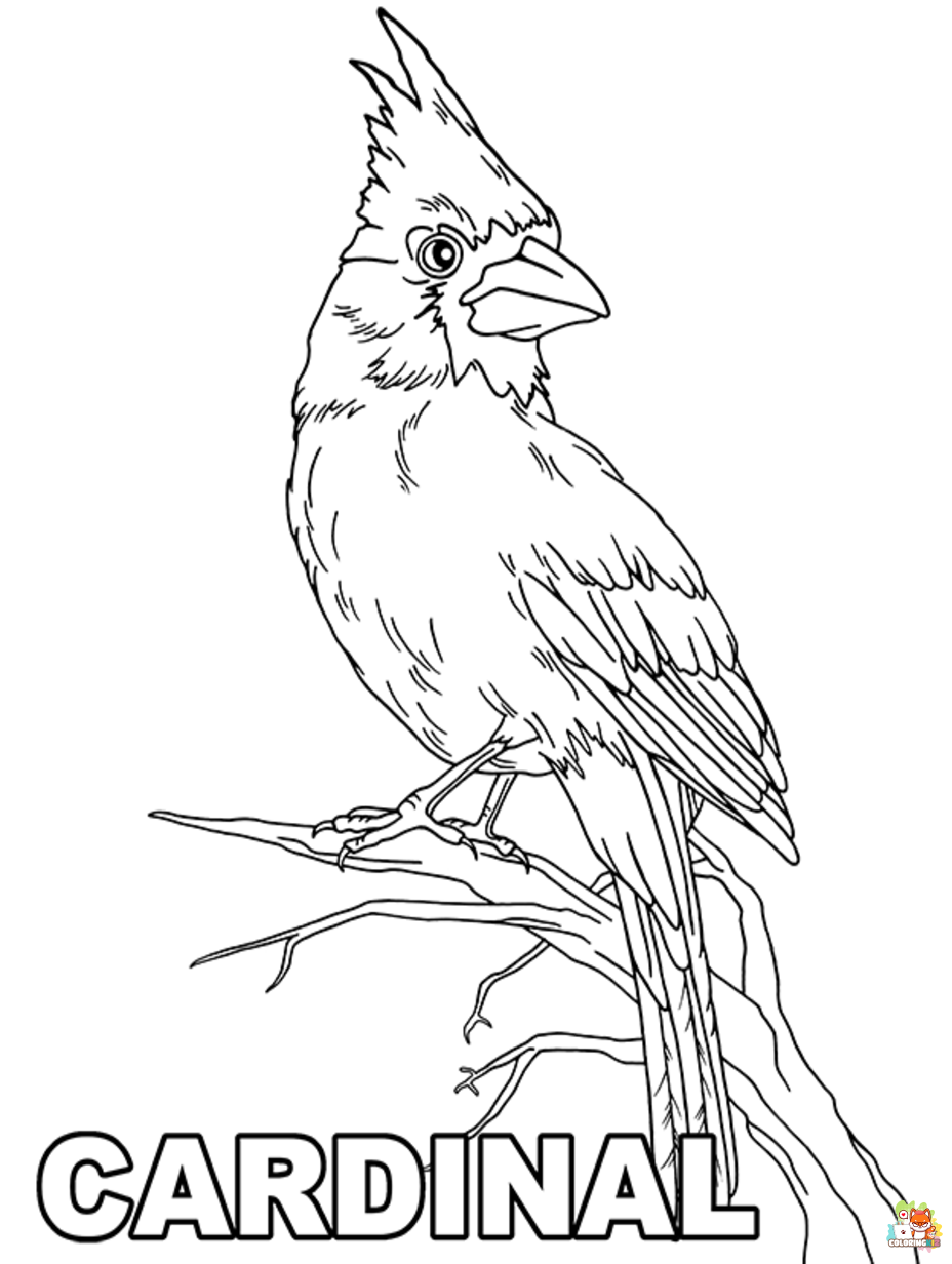 cardinal coloring pages printable