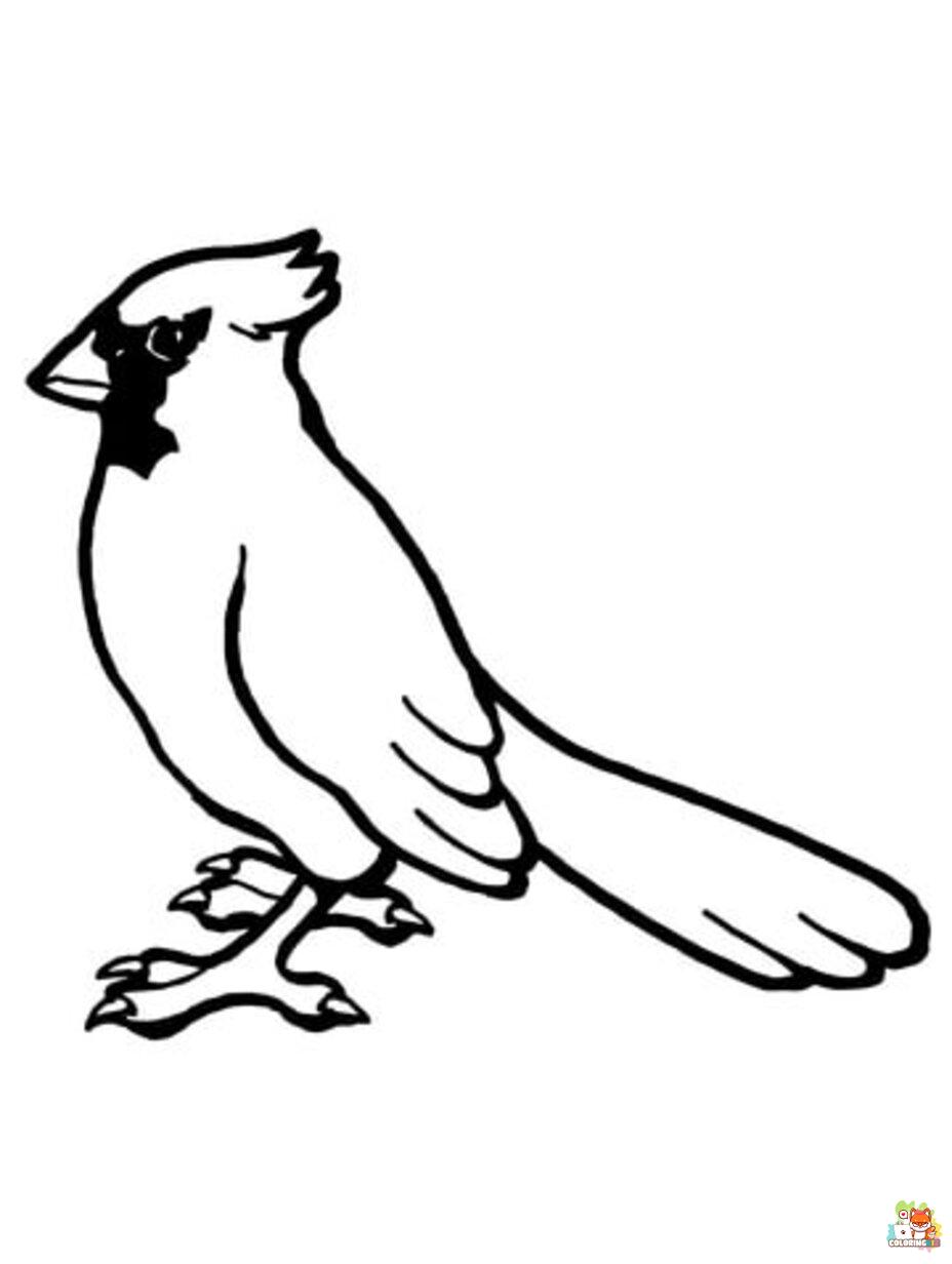 cardinal coloring pages to print