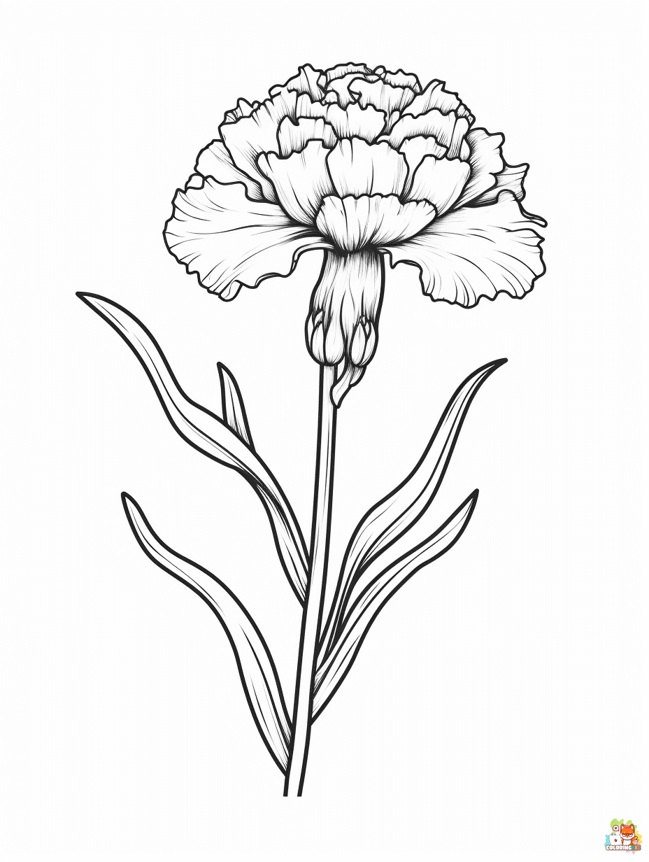 carnation coloring pages 5
