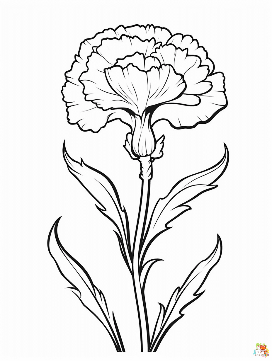carnation coloring pages free