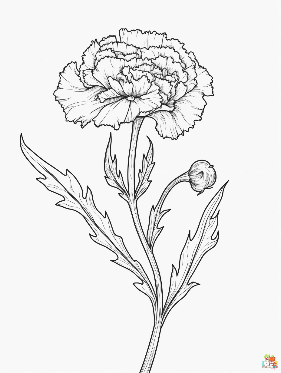 carnation coloring pages printable
