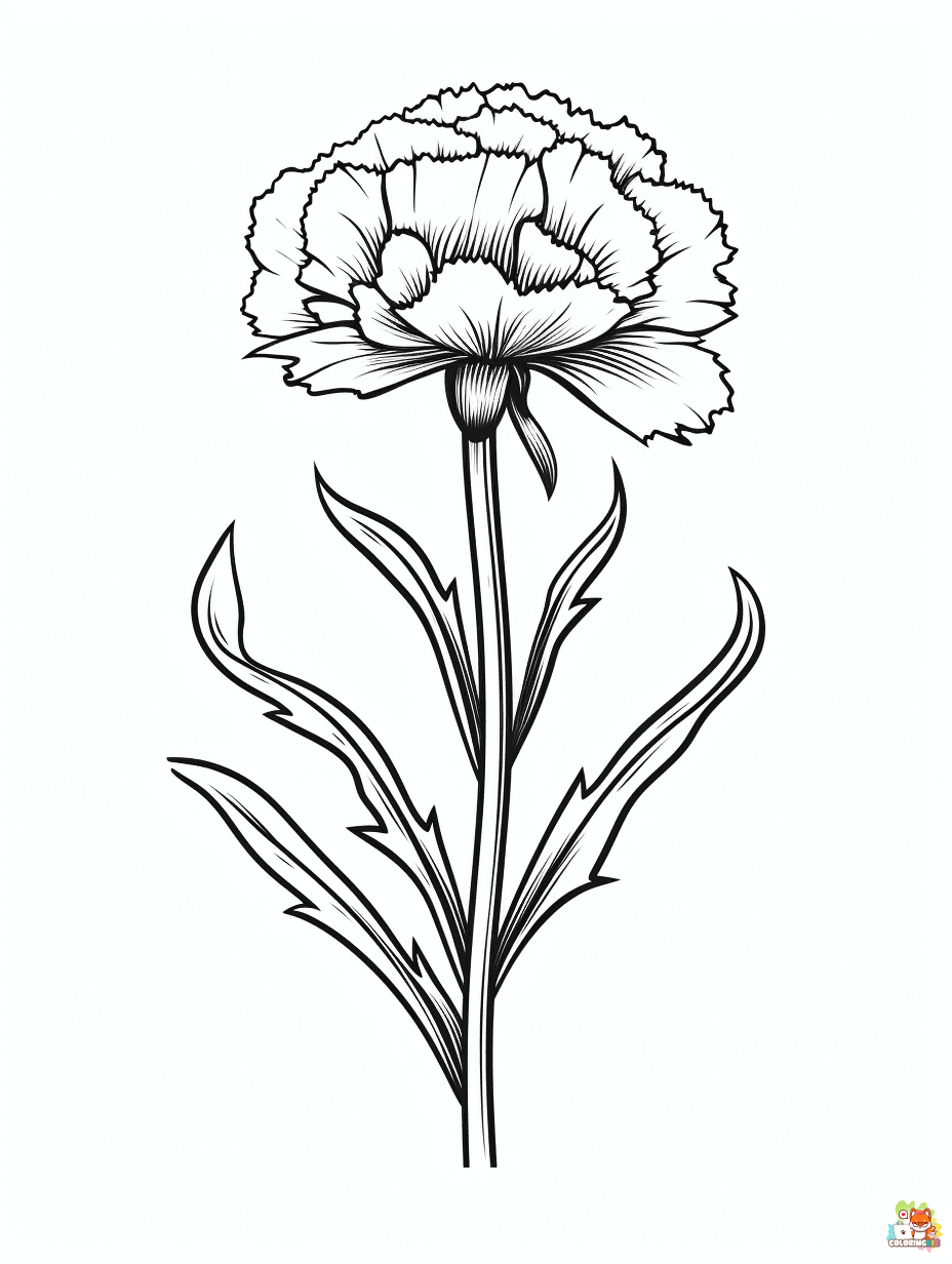 carnation coloring pages to print