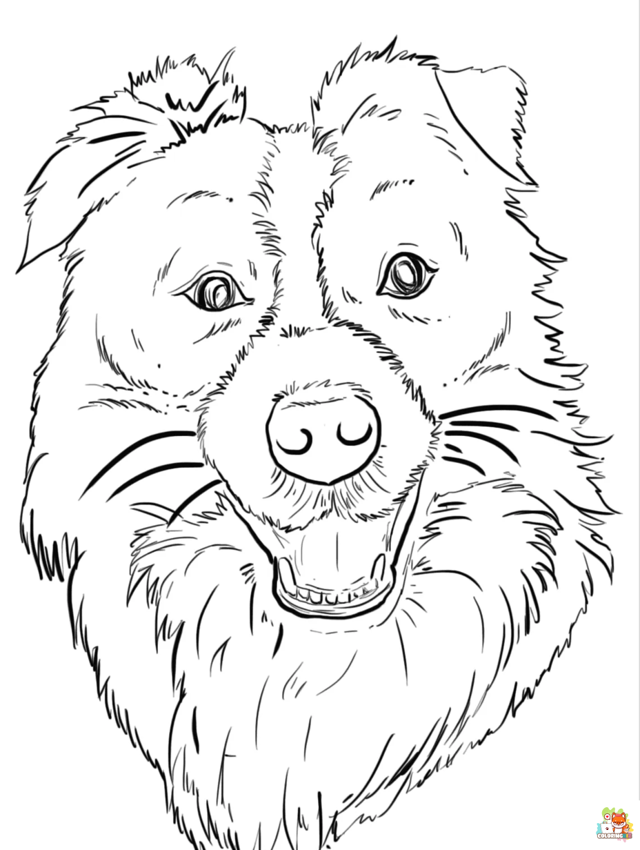 collie coloring pages free