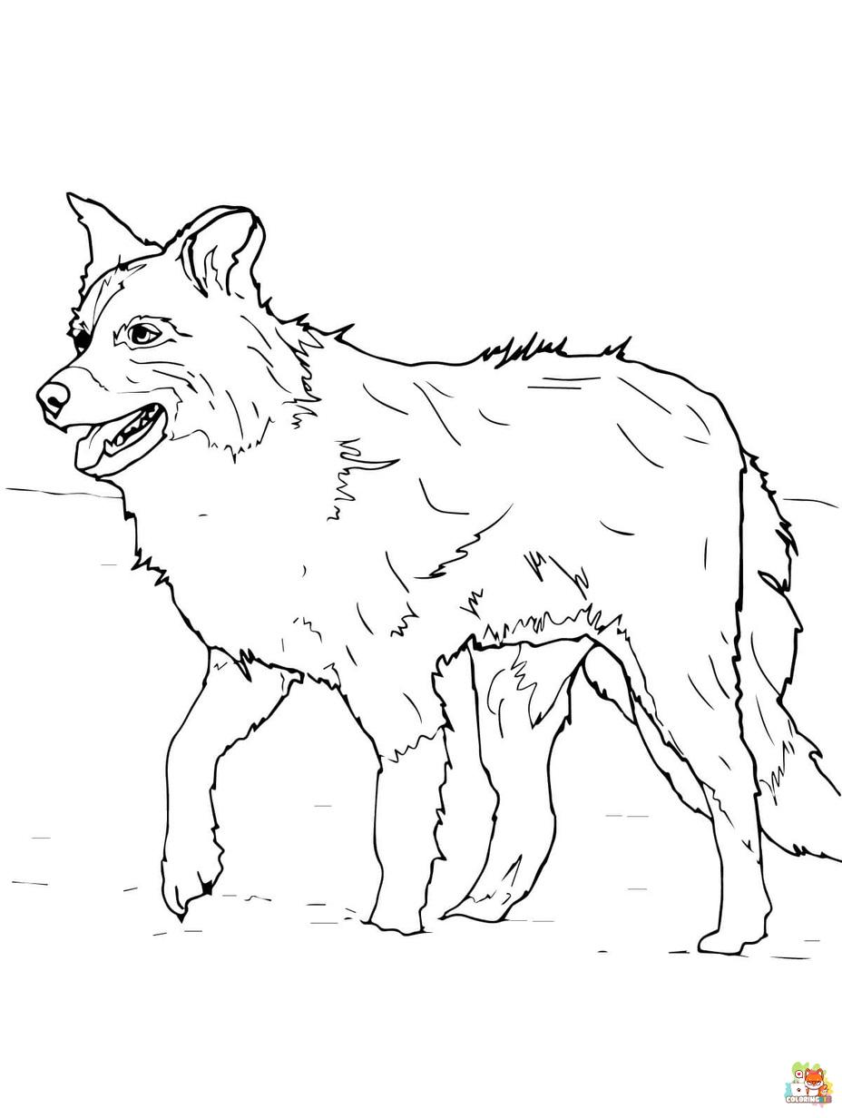 collie coloring pages printable free
