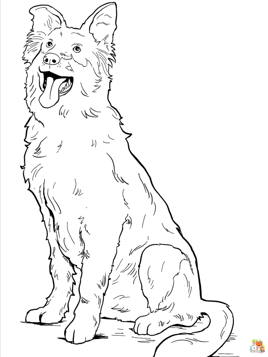 collie coloring pages printable