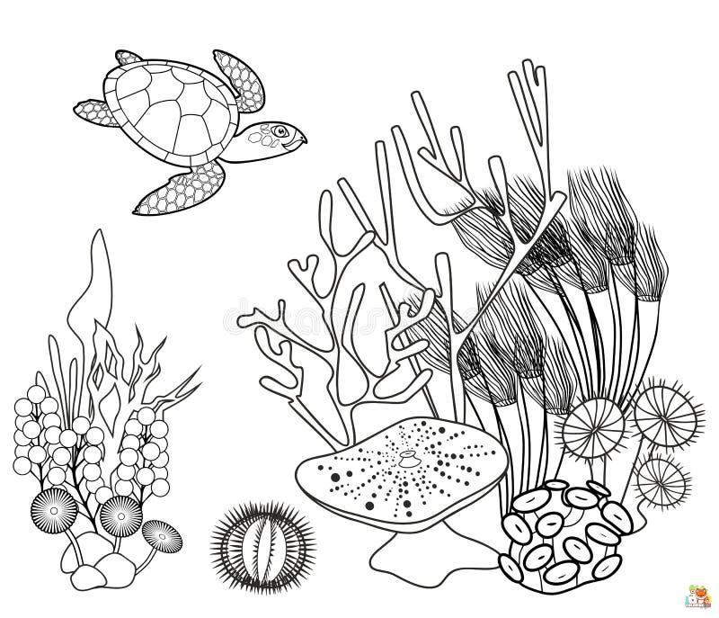 coral coloring pages 1