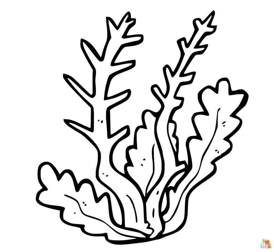 coral coloring pages 4