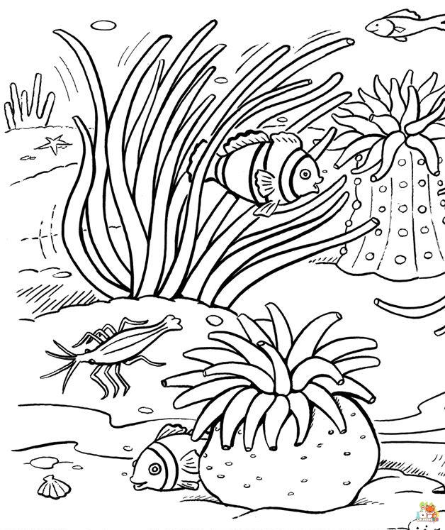 coral coloring pages 5