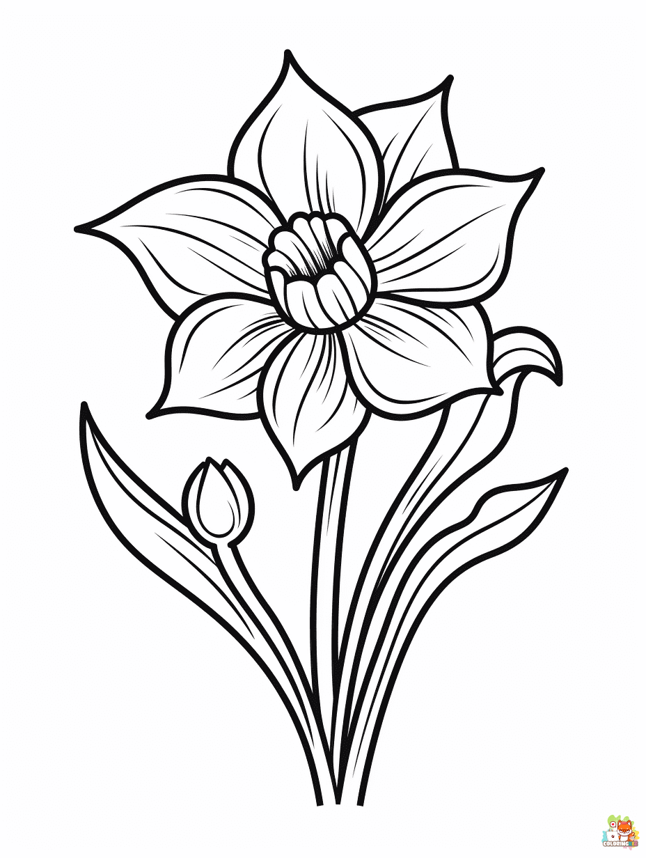 daffodil coloring pages 9
