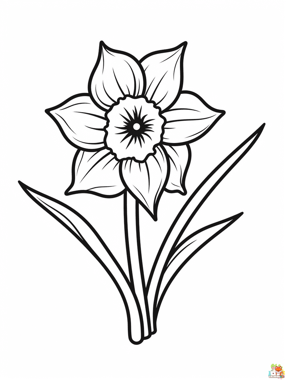 daffodil coloring pages free