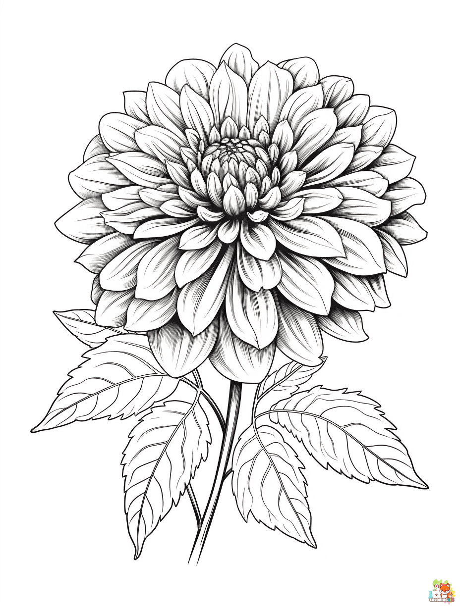 dahlia coloring pages 6