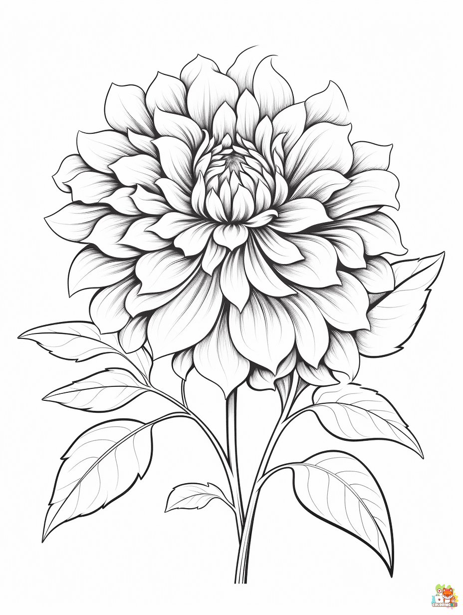 dahlia coloring pages free