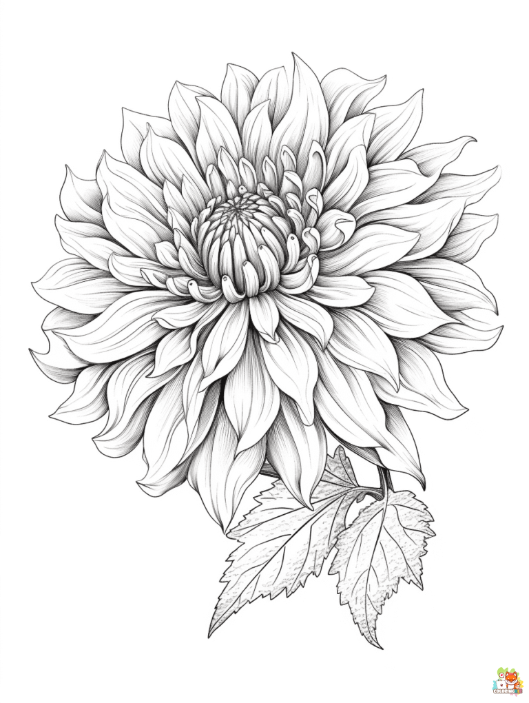 dahlia coloring pages printable