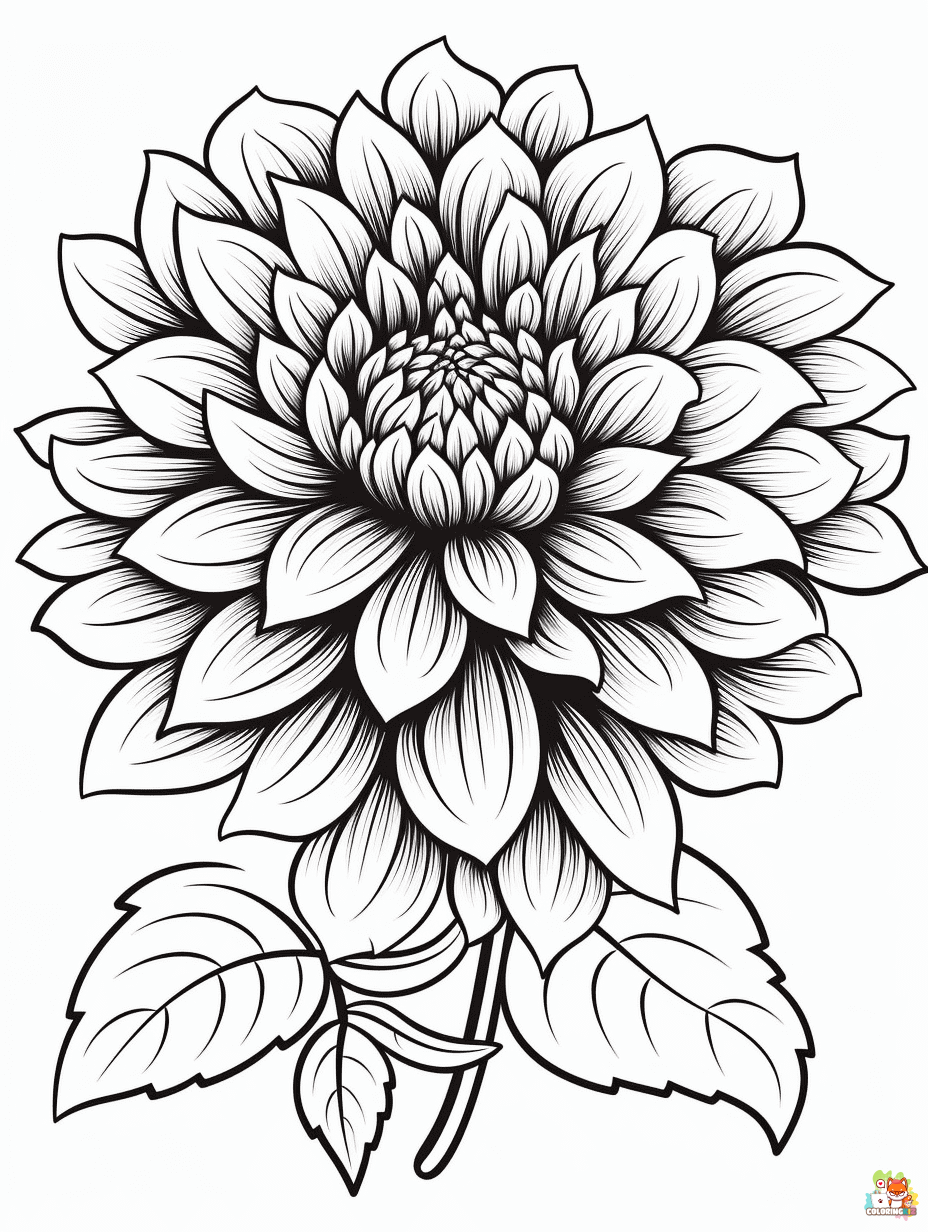 dahlia coloring pages printable free