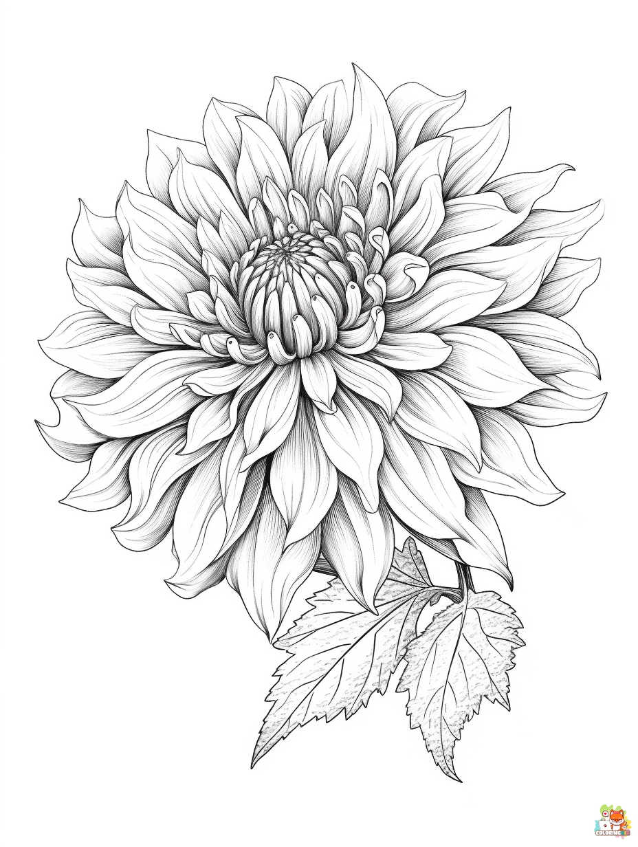 dahlia coloring pages printable
