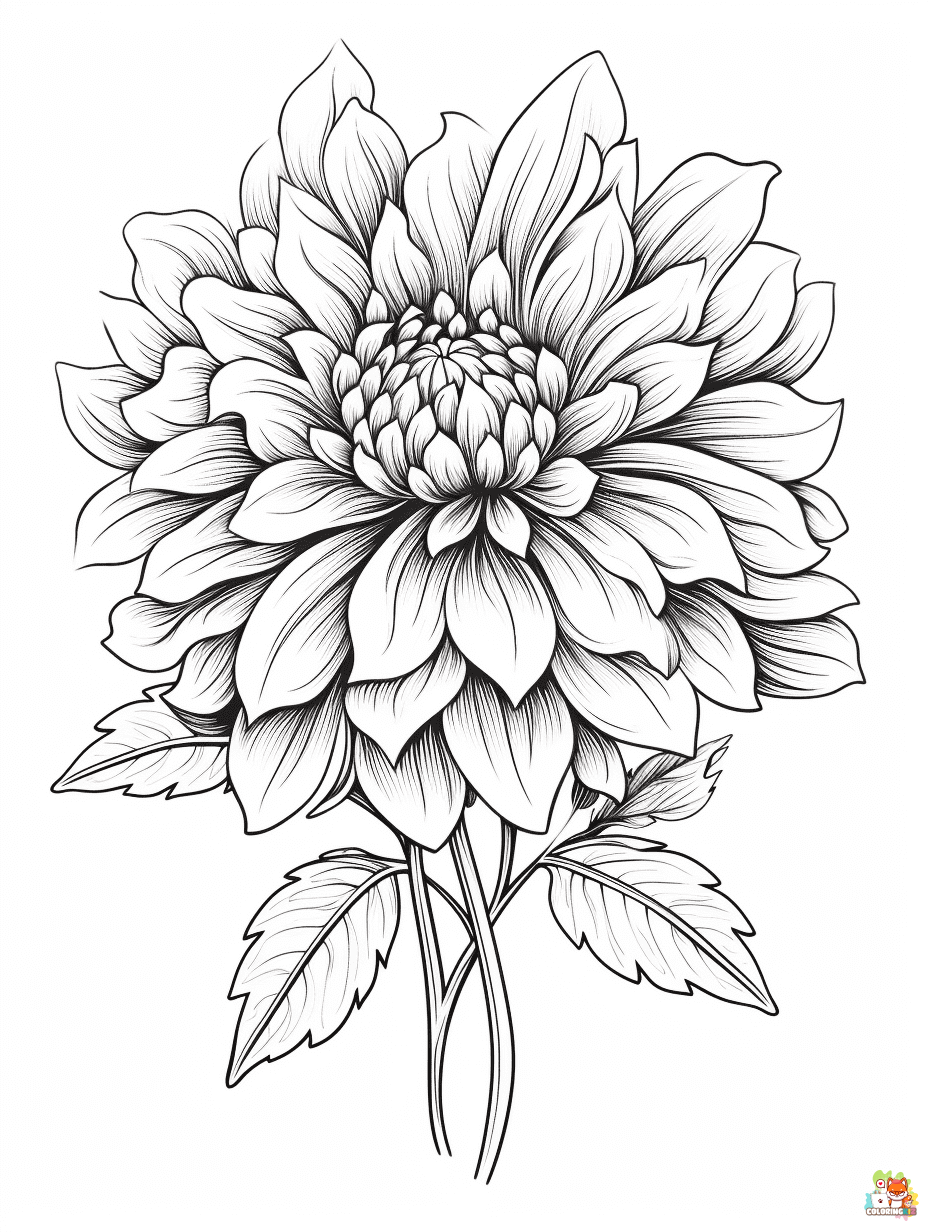 dahlia coloring pages to print