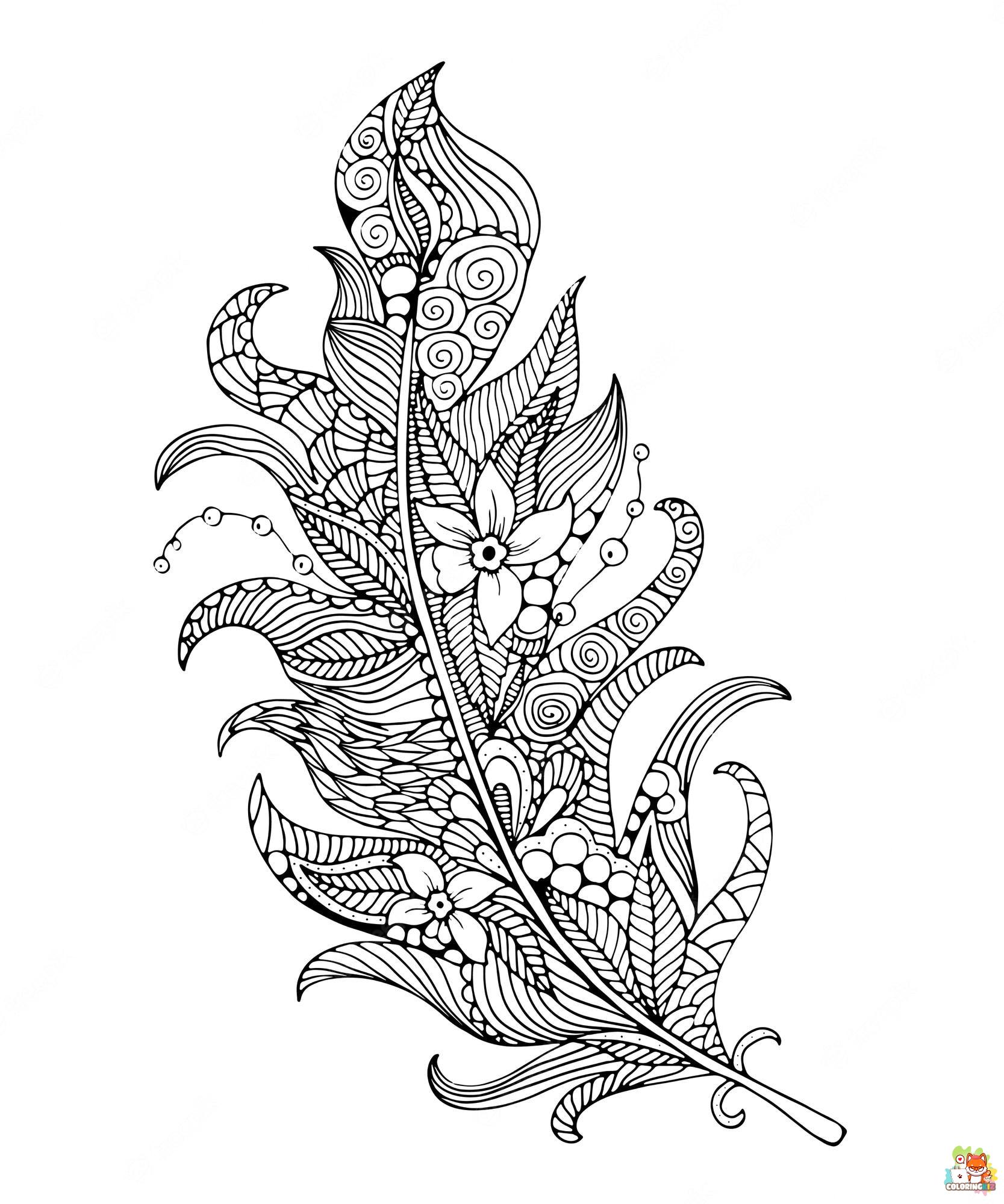 feather coloring pages 4