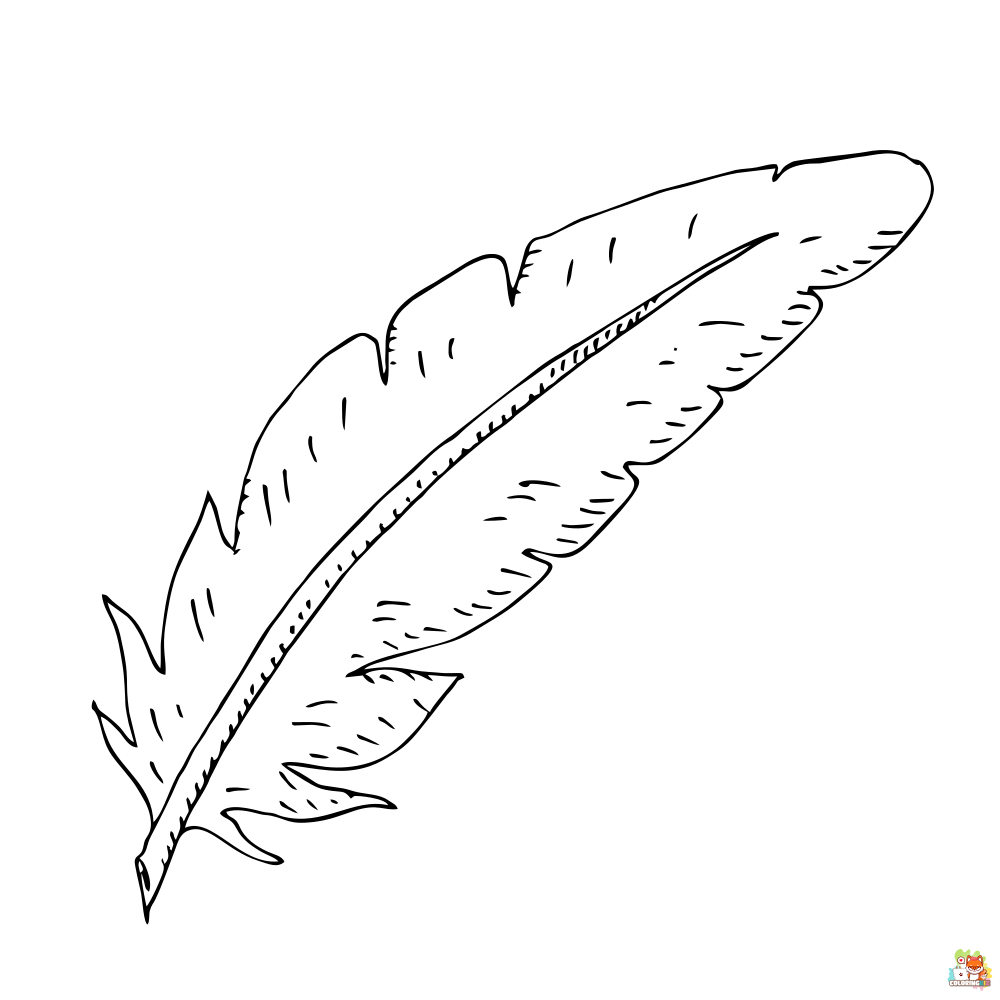 feather coloring pages printable