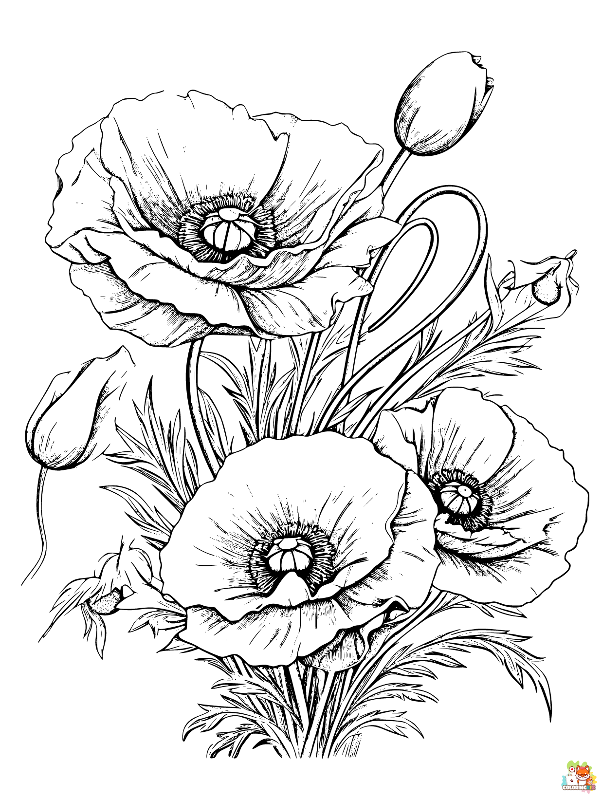 gbcoloring poppies Coloring pages for adult poppies style of co 73295ba0 caa6 44f7 a06e 0019a8f6a0e9 edge