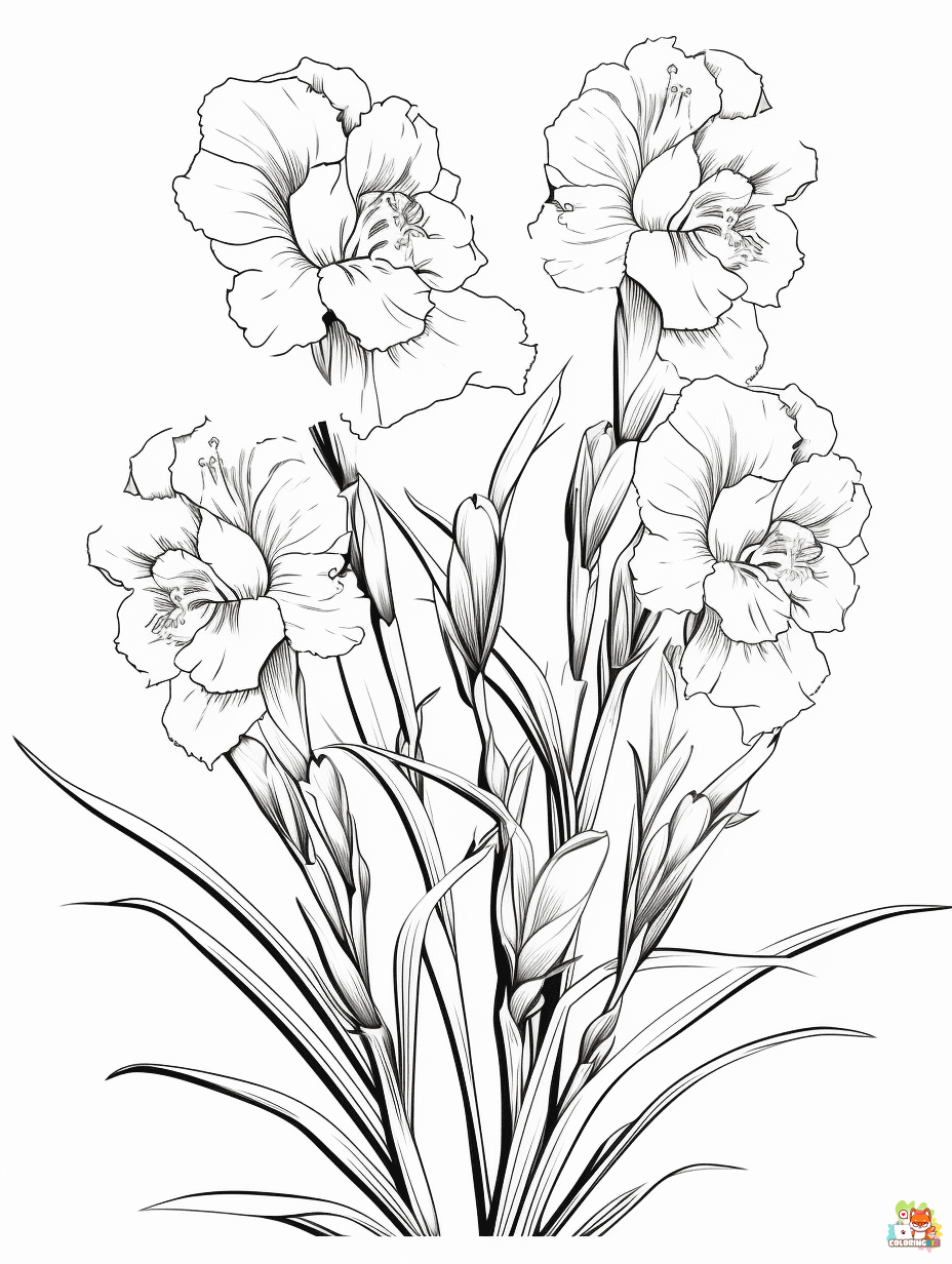 gladiolus coloring pages 5