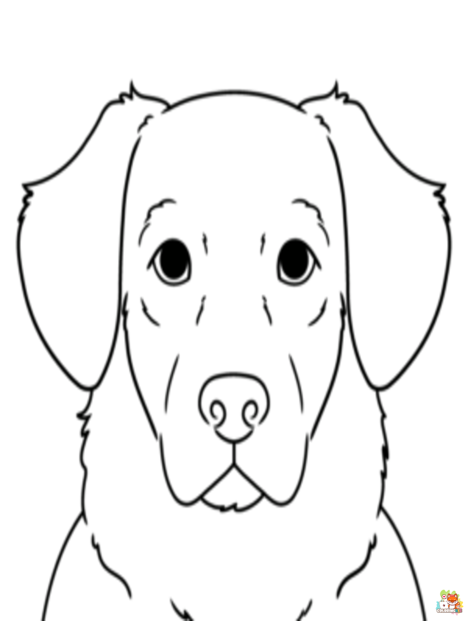 golden retriever coloring pages 2
