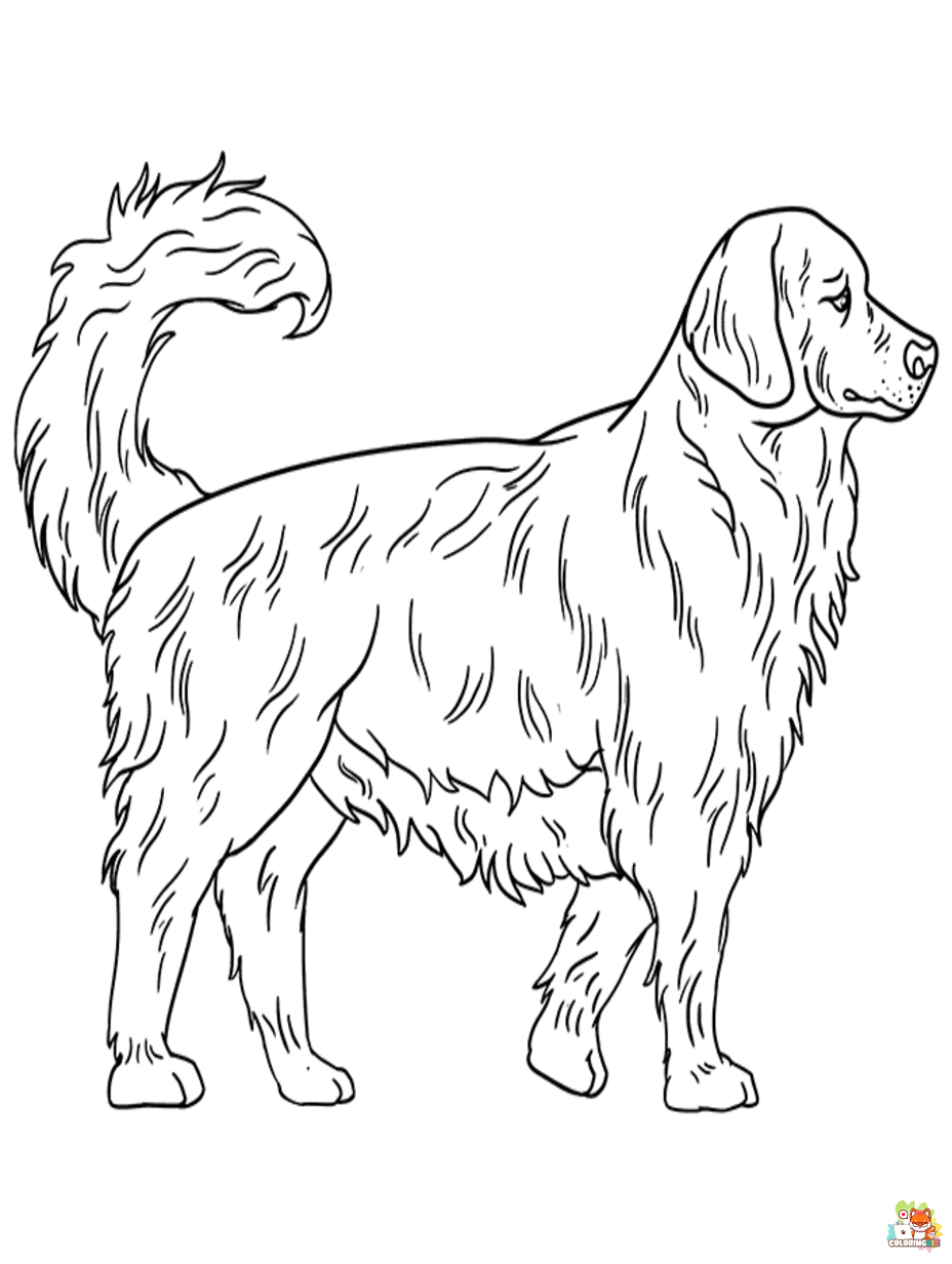 golden retriever coloring pages free