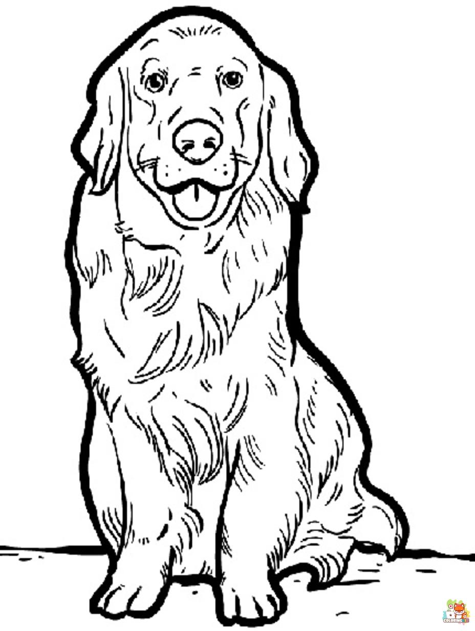 golden retriever coloring pages printable free