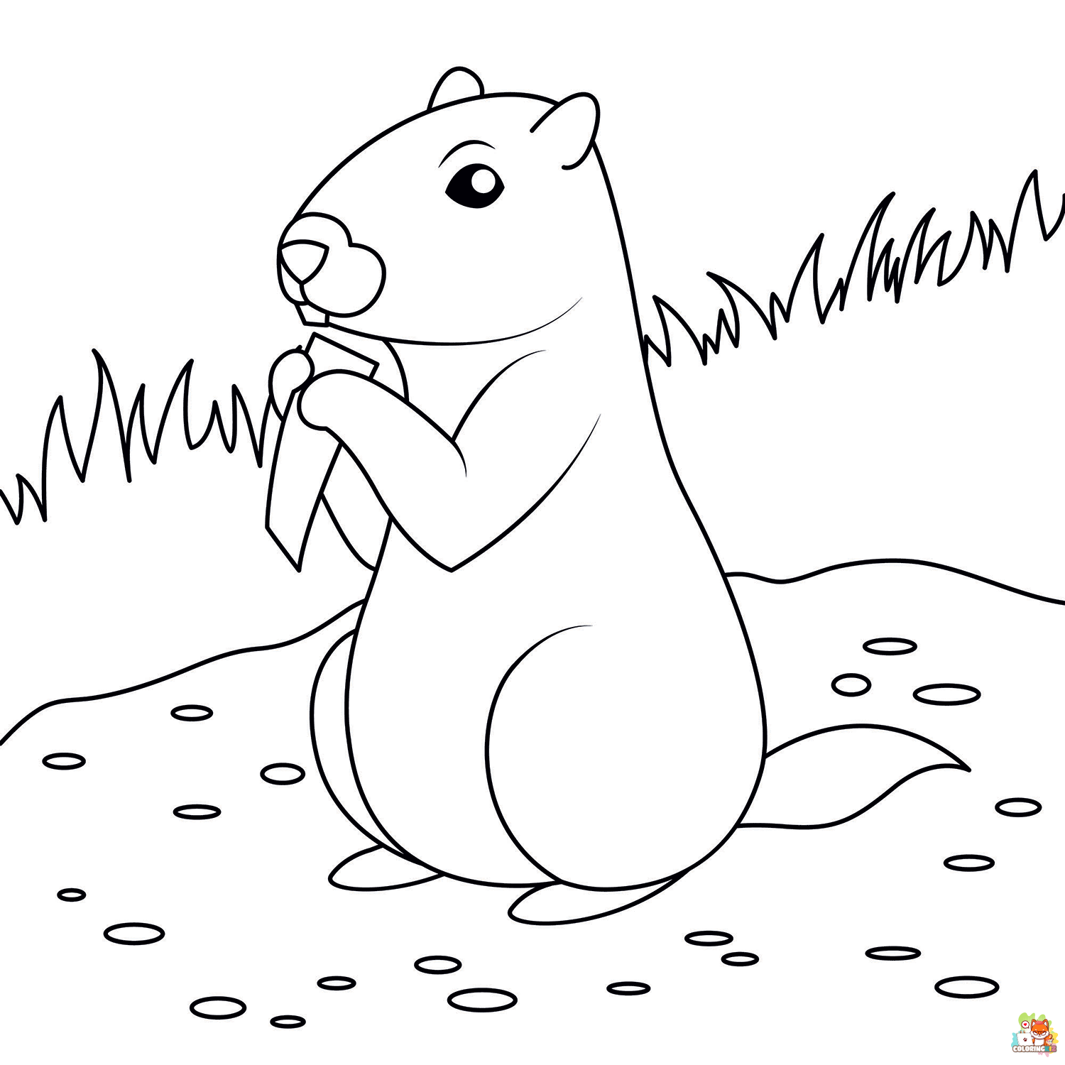 groundhog coloring pages 3