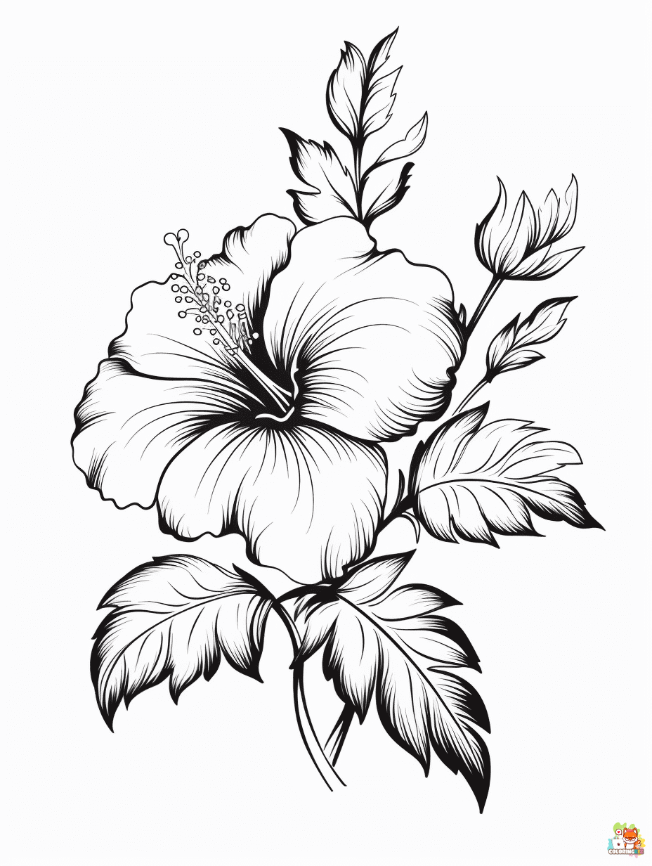 hibiscus coloring pages free