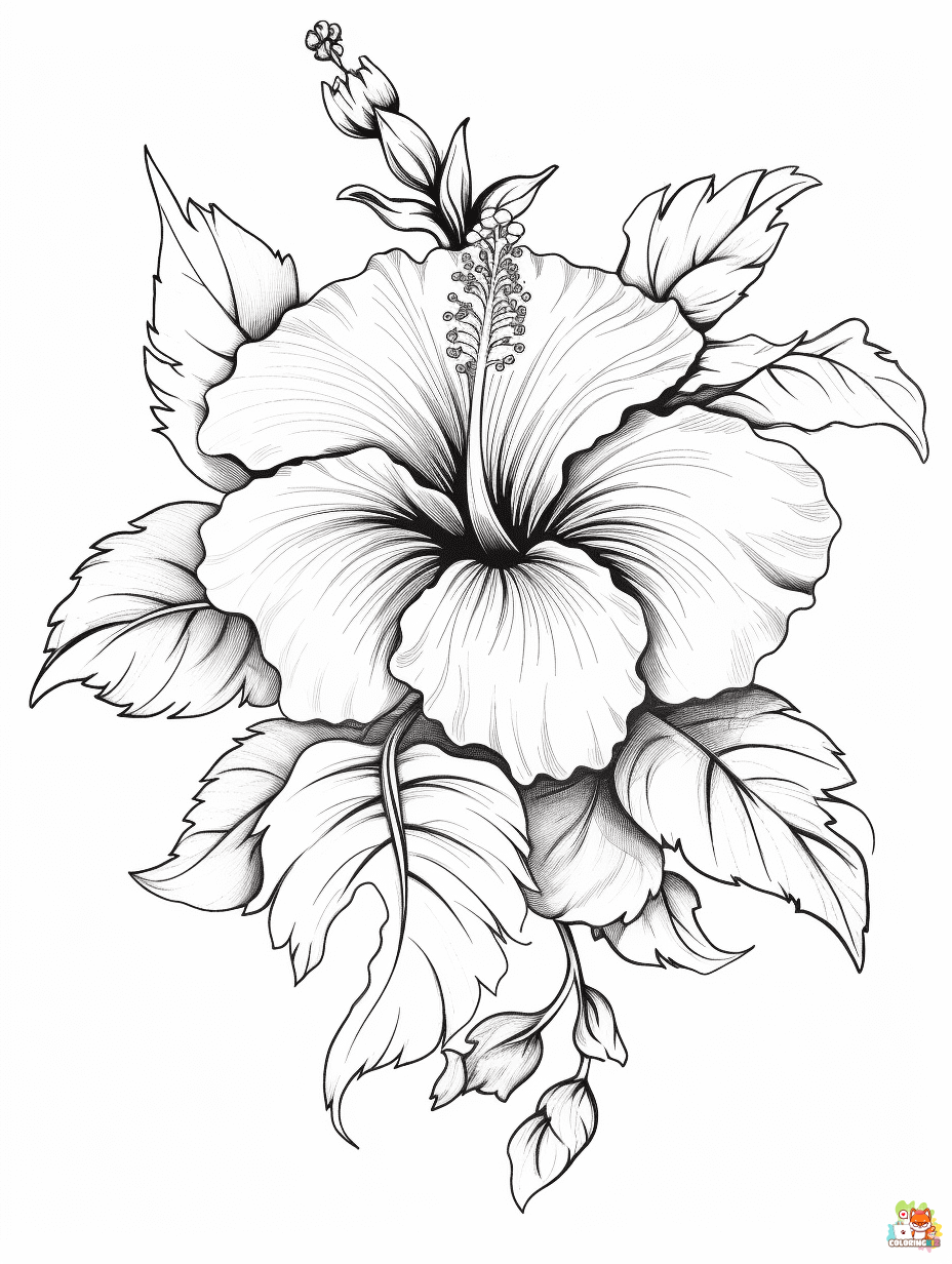 hibiscus coloring pages printable free