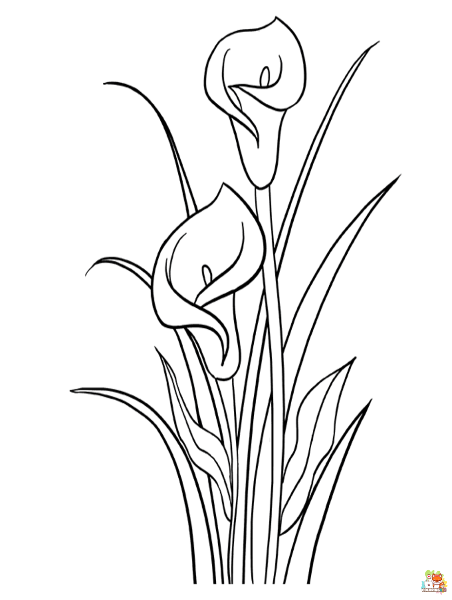 lily coloring pages 2