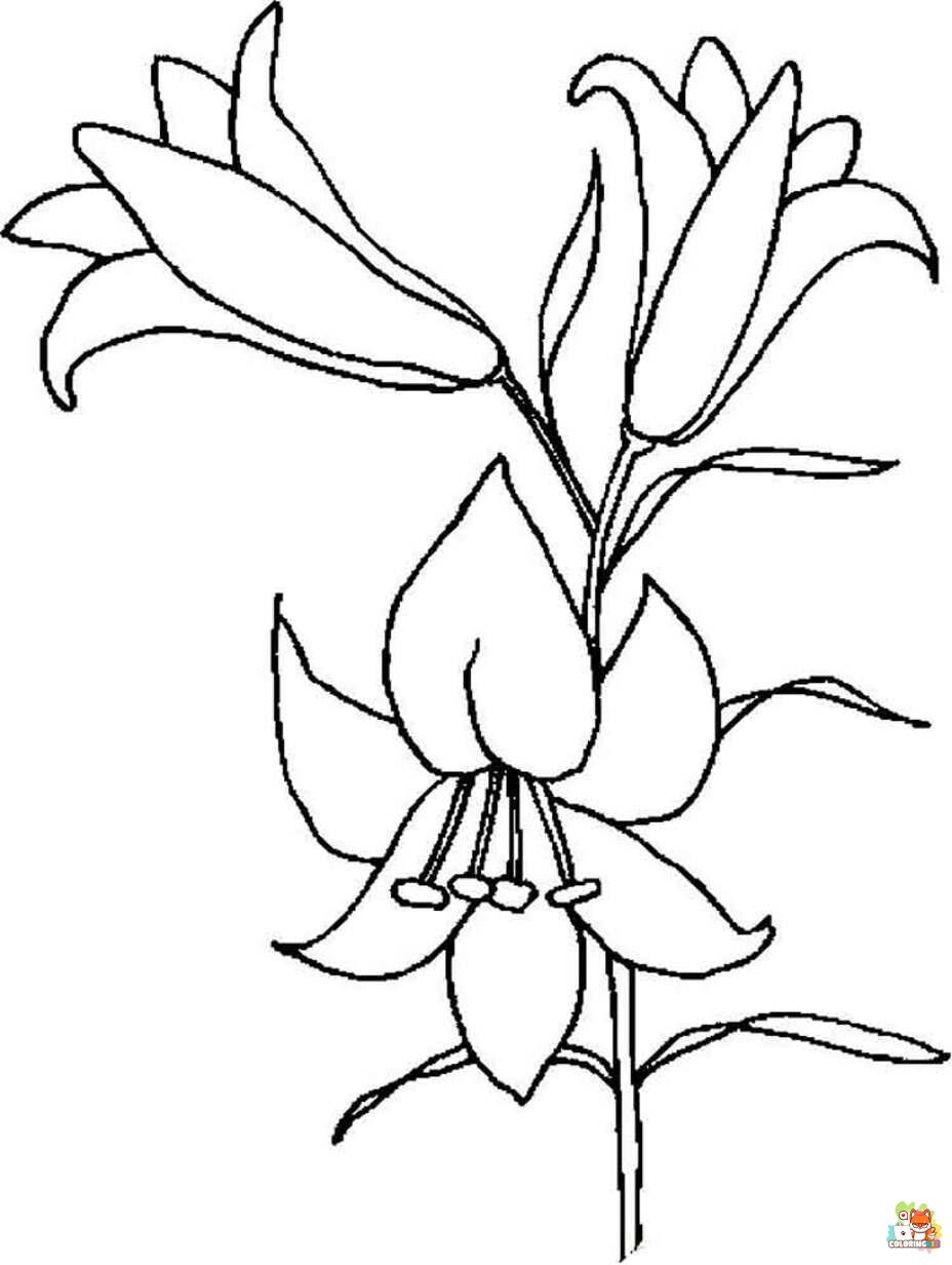 lily coloring pages 3