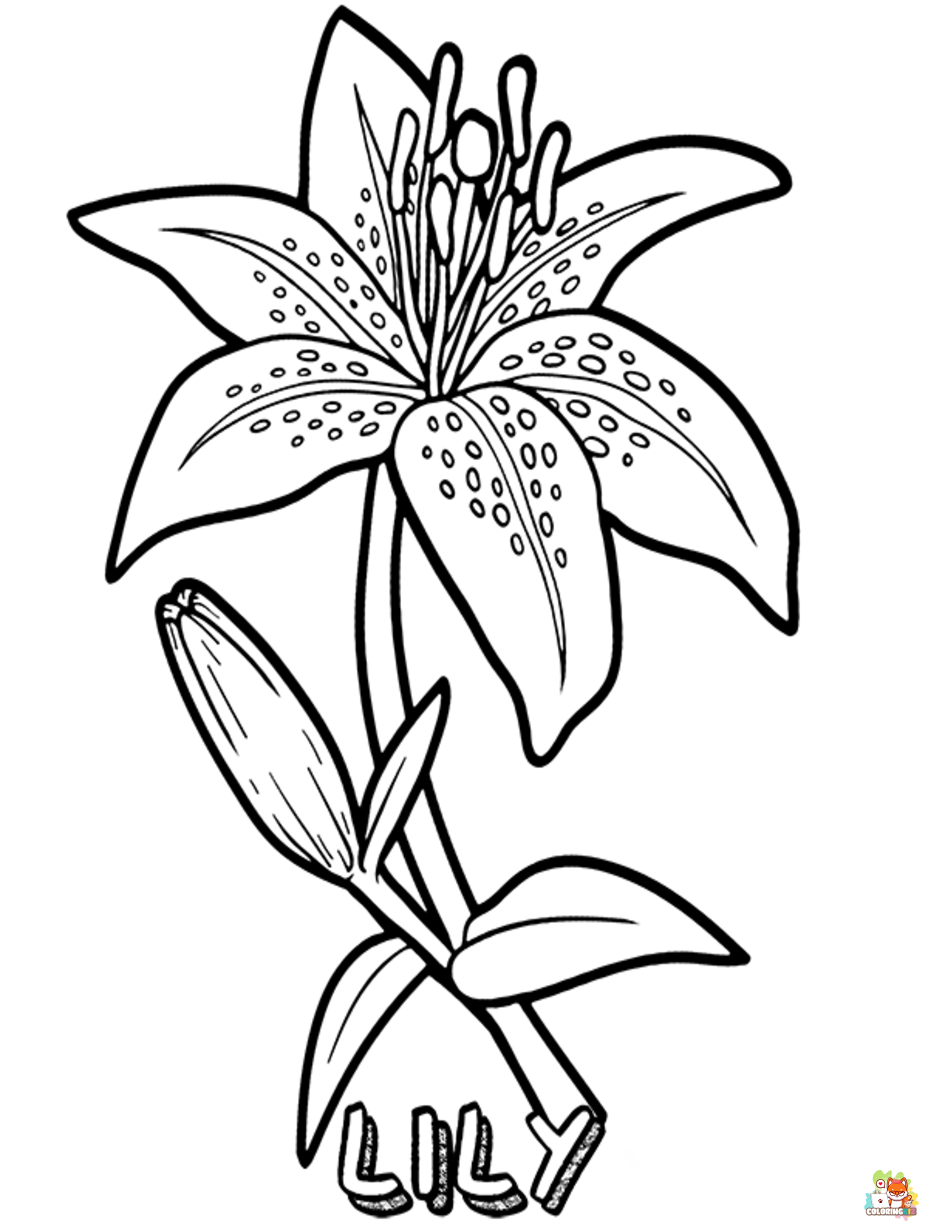 lily coloring pages 5