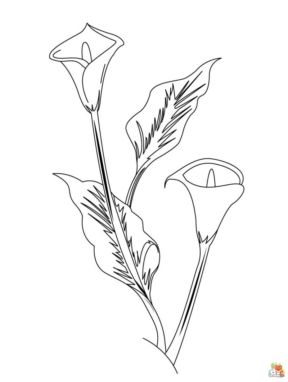 lily coloring pages printable free