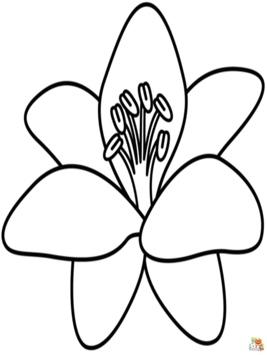 lily coloring pages to print