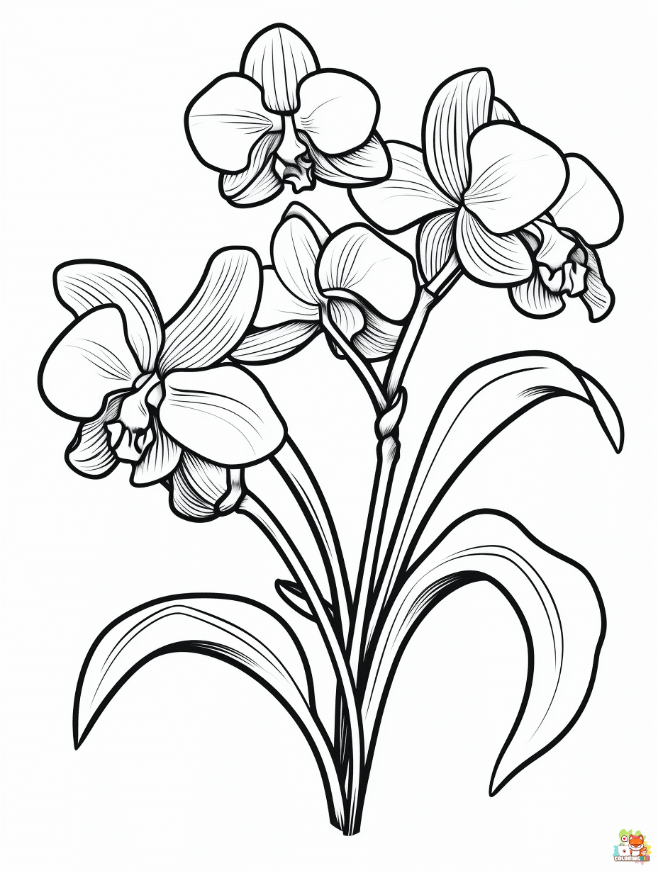 orchids coloring pages printable free
