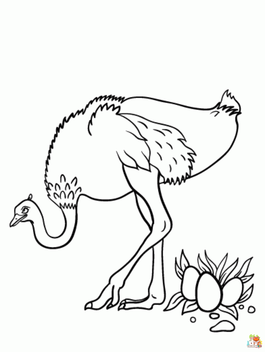 ostrich coloring pages 1