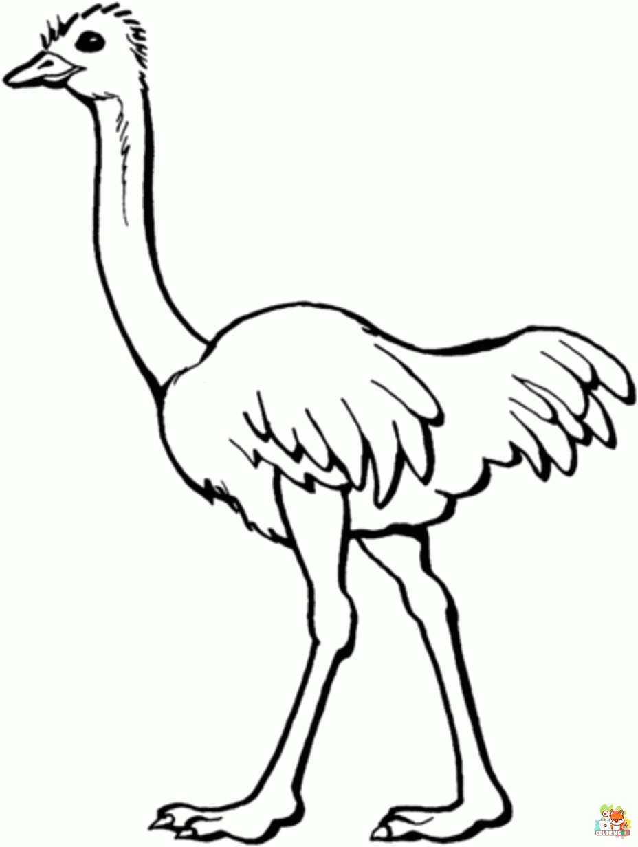 ostrich coloring pages 2